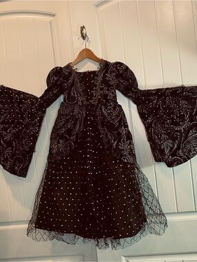 Chasing Fireflies Black and Silver Gothic Princess Dress